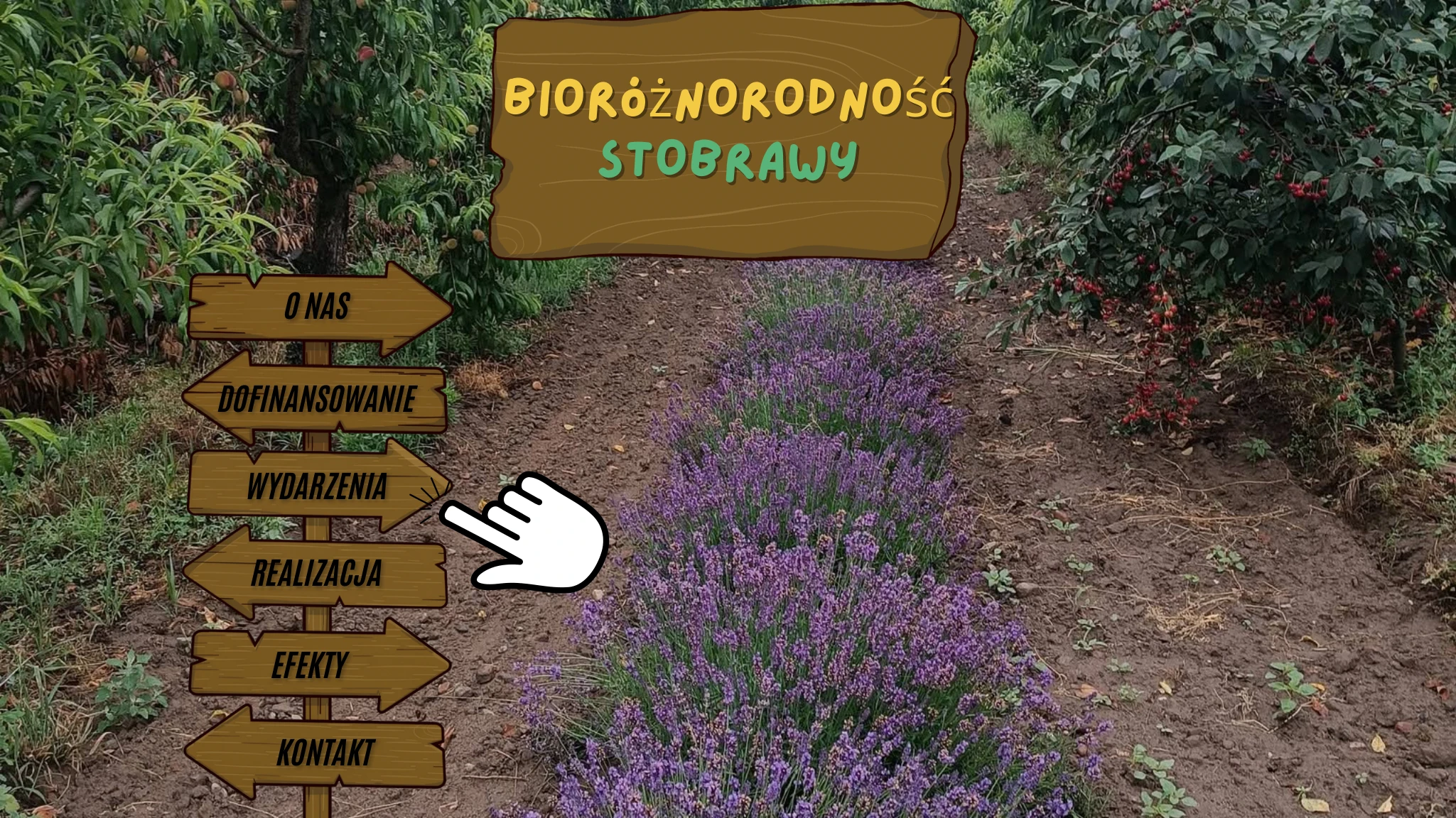 Bioróżnorodność Stobrawy